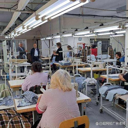 2,当地工厂常面临法律差异,文件缺失等问题,专业咨询机构可提供针对性