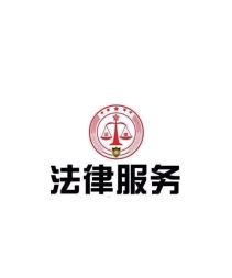 法律咨询指南 婚姻、交通、房产、合同、债务与刑事辩护的常见问题解析